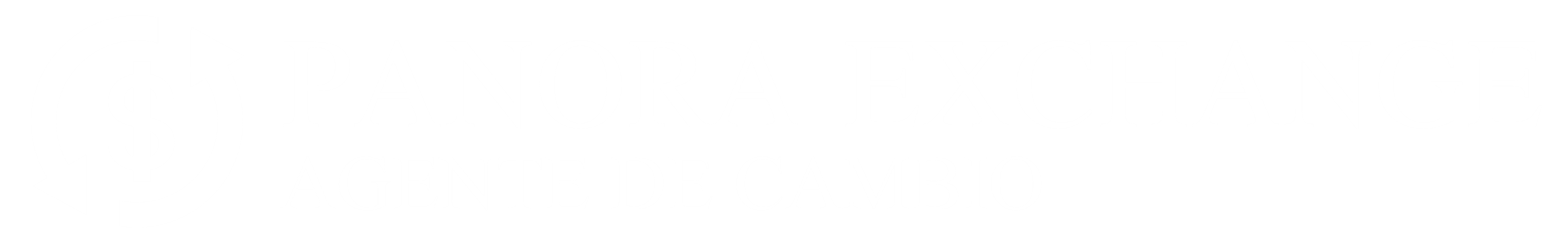 Panora Exchange, Agente de Cambio